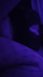艹大母猪  0317