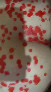 调教母狗